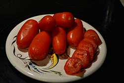 Health Kick Tomato (Solanum lycopersicum 'Health Kick') at Marlin Orchards & Garden Centre